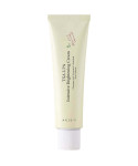 Освітлювальний крем для обличчя AXIS-Y TXA 2.5% Intensive Brightening Cream 50 мл