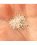 Ензимна пудра By Wishtrend Green Tea & Enzyme Powder Wash 110 мл
